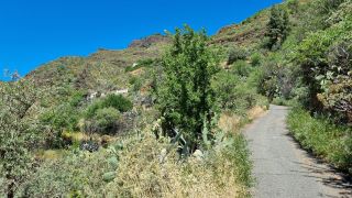 2023-04-GranCan-Guayadeque-061.jpg